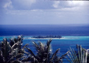 Wilcommen, No. 0134 View of Mañagaha Through Coconut Palms